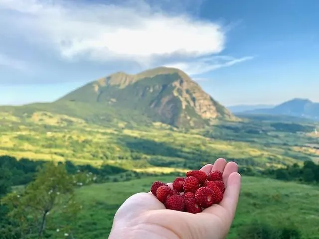Frühstückspension Continanza
