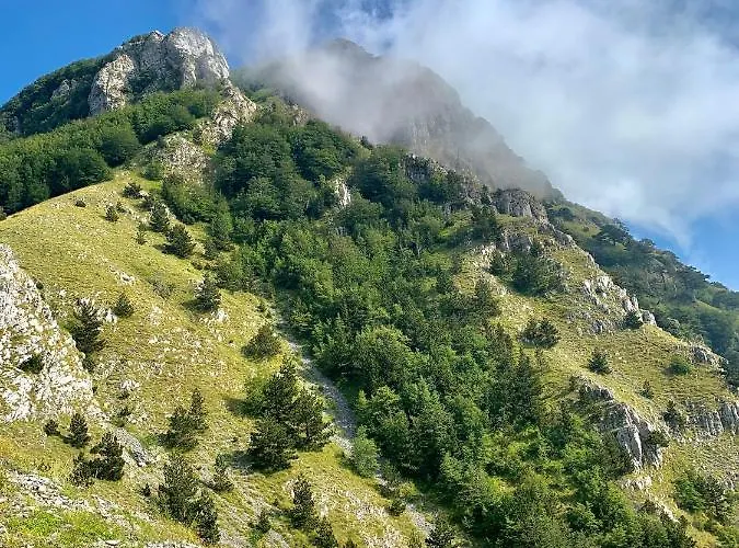 Bed & Breakfast Continanza